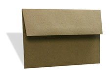 Brown Bag Envelope