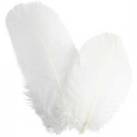 Goose feathers, round, approx. 8 cm, 3 g, white [HOB-51816]