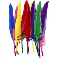 Feathers, L: 27 cm, 12 pcs, asstd colours [HOB-51819]