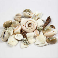 Beach Shells, size 9-40 mm, hole size 1-1.5 mm, 120 g [HOB-631881]