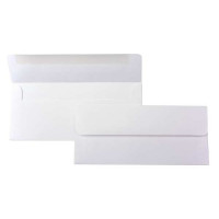 #10 Square FlapPremium Opaque 24.1 x 10.5cm (E1D0)