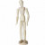 Mannequin, H: 30 cm, 1 pc [HOB-22162]