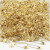 Safety Pins, L: 22 mm, thickness 0.6 mm, 500 pcs, gold [HOB-41133]