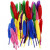 Feathers, L: 13 cm, 48 pcs, asstd colours [HOB-51817]
