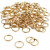 Split Ring, D: 15 mm, 100 pcs, gold-plated [HOB-52607]