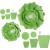 Paper Flowers, D: 15+25 cm, 230 g, 2 pcs, green [HOB-599907]