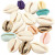 Shell, L: 20 mm, 75 pcs, asstd colours [HOB-61019]