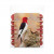 Plastic Bags 14.5x14.1cm Transparent Peel and Seal (100 pieces) [B5X5M]