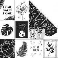 Design Paper, sheet 30.5x30.5 cm, 180 g, 5 sheets [HOB-22529]