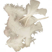 Feathers, size 7-8 cm, 500 g, white [HOB-51662]