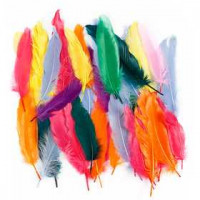 Feathers, L: 12-15 cm, 350 pcs, asstd colours [HOB-51673]