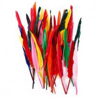 Feathers, L: 29-31 cm, 100 pcs, asstd colours [HOB-51677]