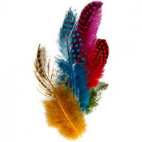 Guinea fowl feathers, approx. 100 pcs, 3 g, asstd colours [HOB-51813]