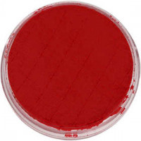 Water-based Face Paint, 3,5 ml, light red [HOB-76215]