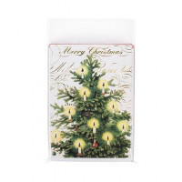 Plastic Bags 15.1x19.7cm Transparent Peel and Seal (100 pieces) [B5N9PC]