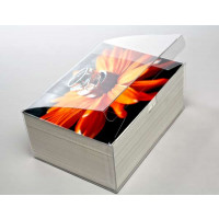 Plastic Gift Boxes 18.1x13x7.6cm Crystal Clear with Autolock Bottom (25 pieces) [FPLB213]